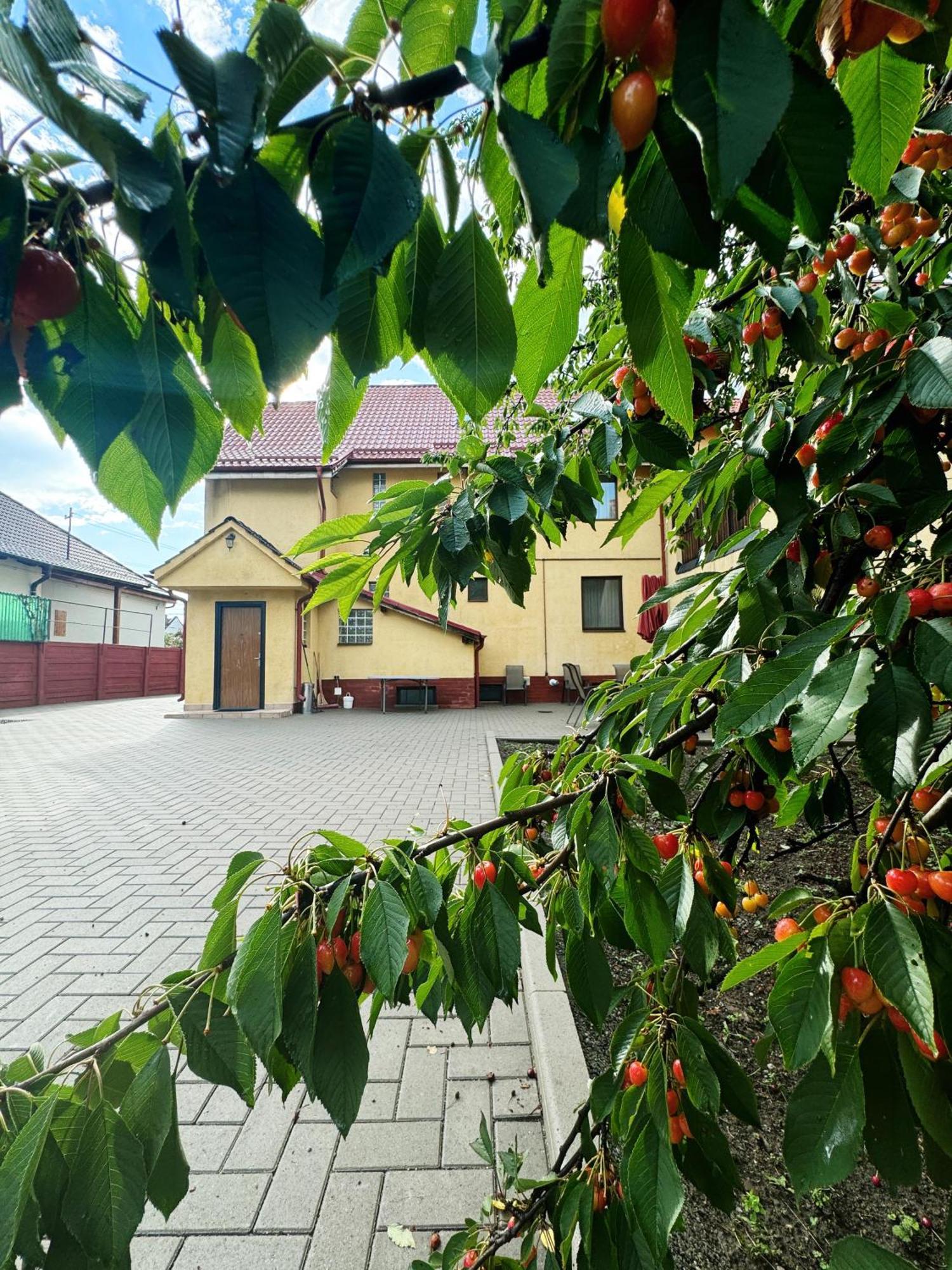 Carpathian Newstar Hotell Sibiu Eksteriør bilde